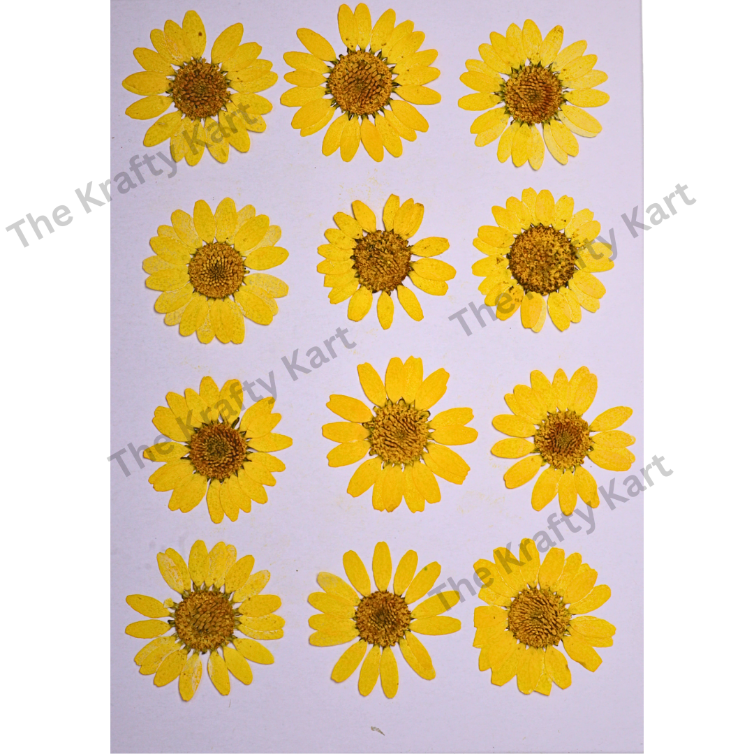 Daisy Flower - Yellow