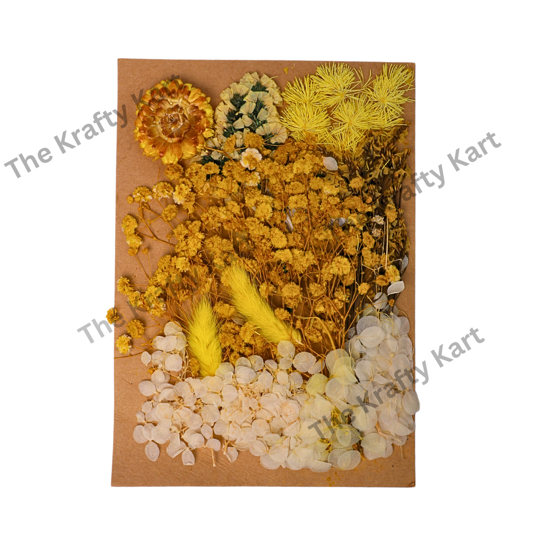 Dry Flower Packet (F)