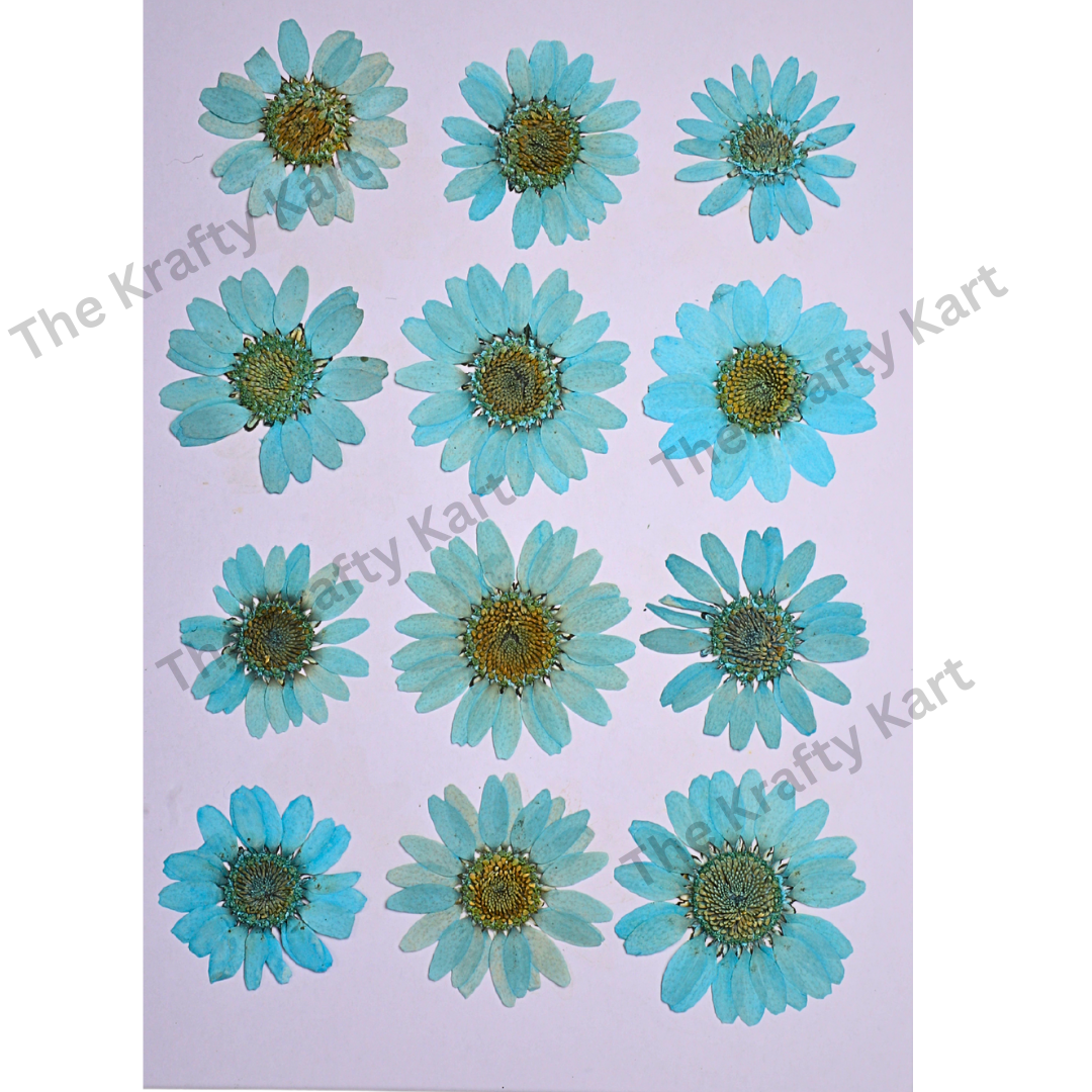 Daisy Flower - Aquamarine