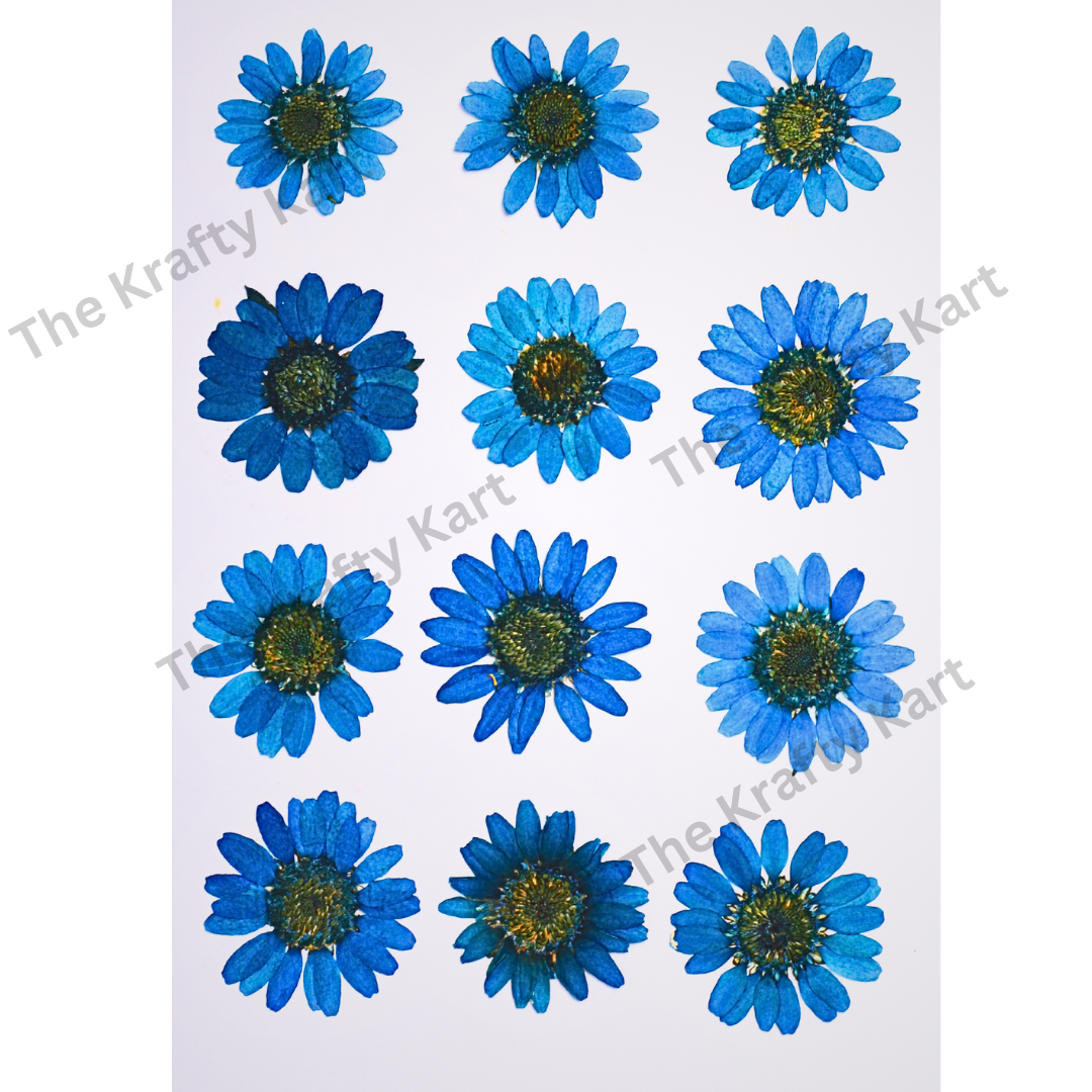 Daisy Flower - Blue