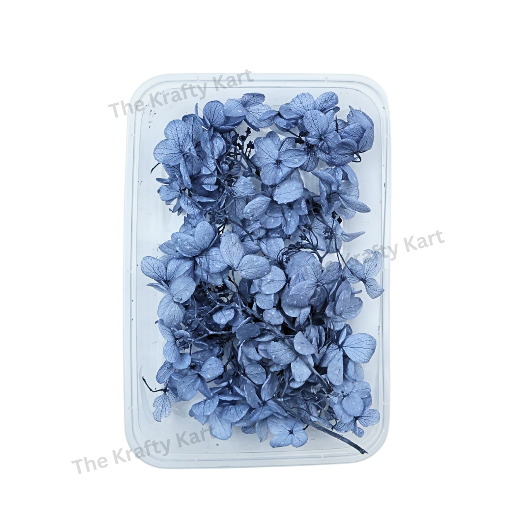 Hydregans Flower Box (Blue)