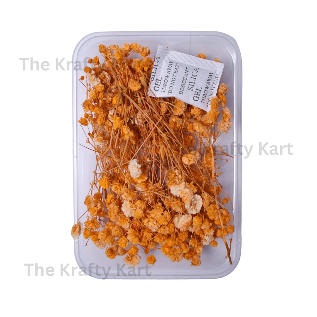 Gypsy Dry Flower Box (Orange)