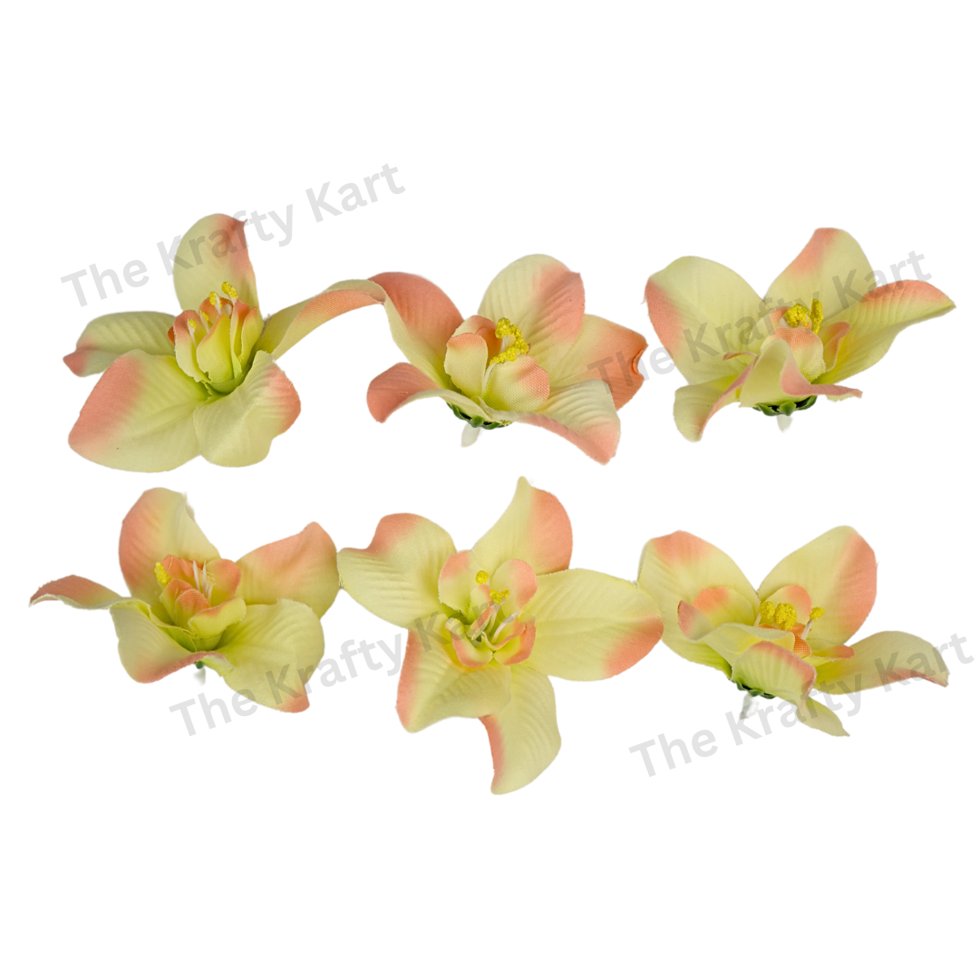 Lily Flower