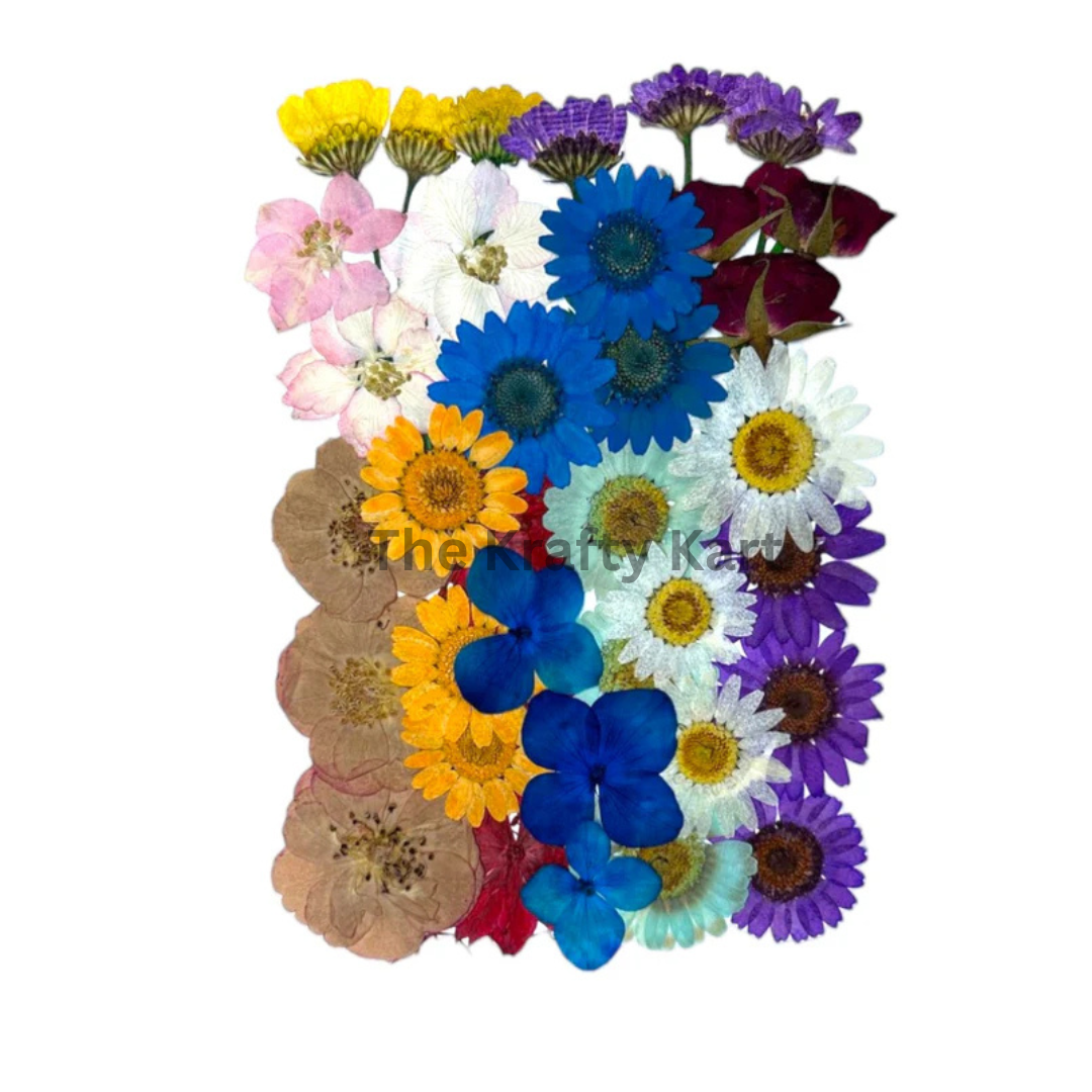 Pressed Flower (H)