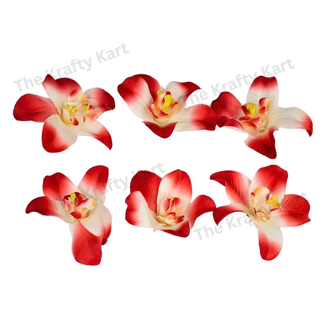 Lily Flower