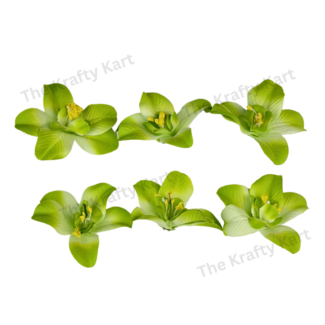 Lily Flower