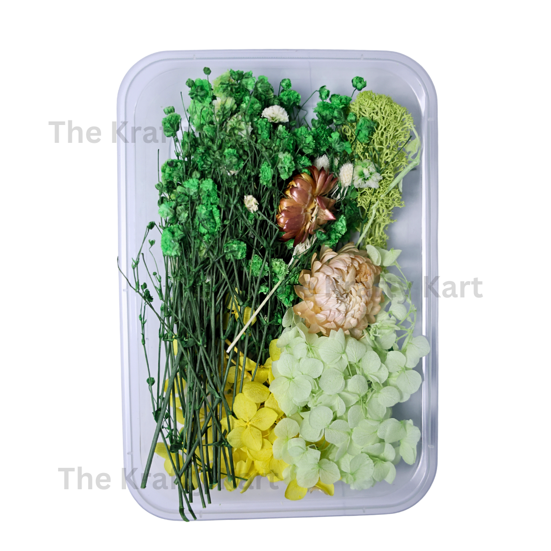Green Dry Flower Box
