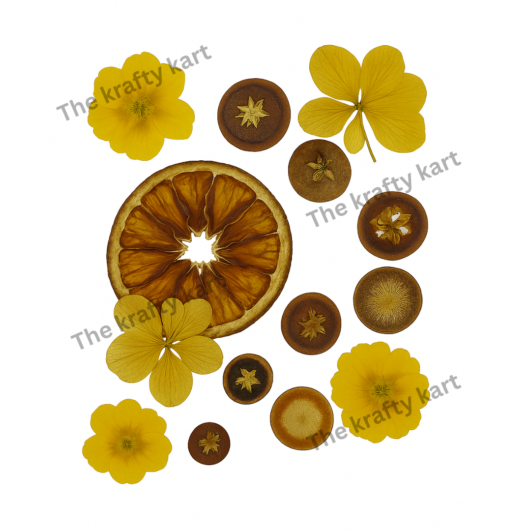 Pressed Fruit Flower (H)