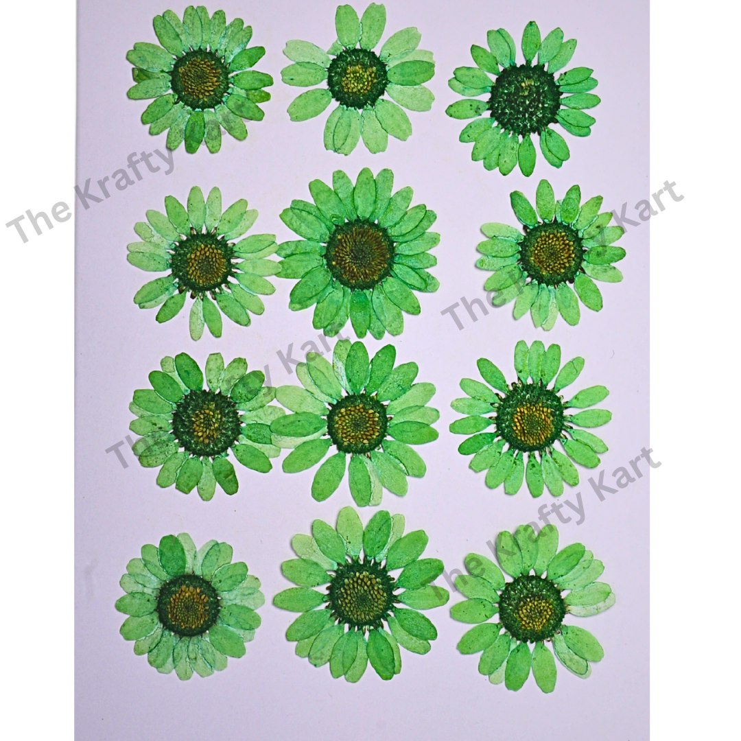 Daisy Flower - Green