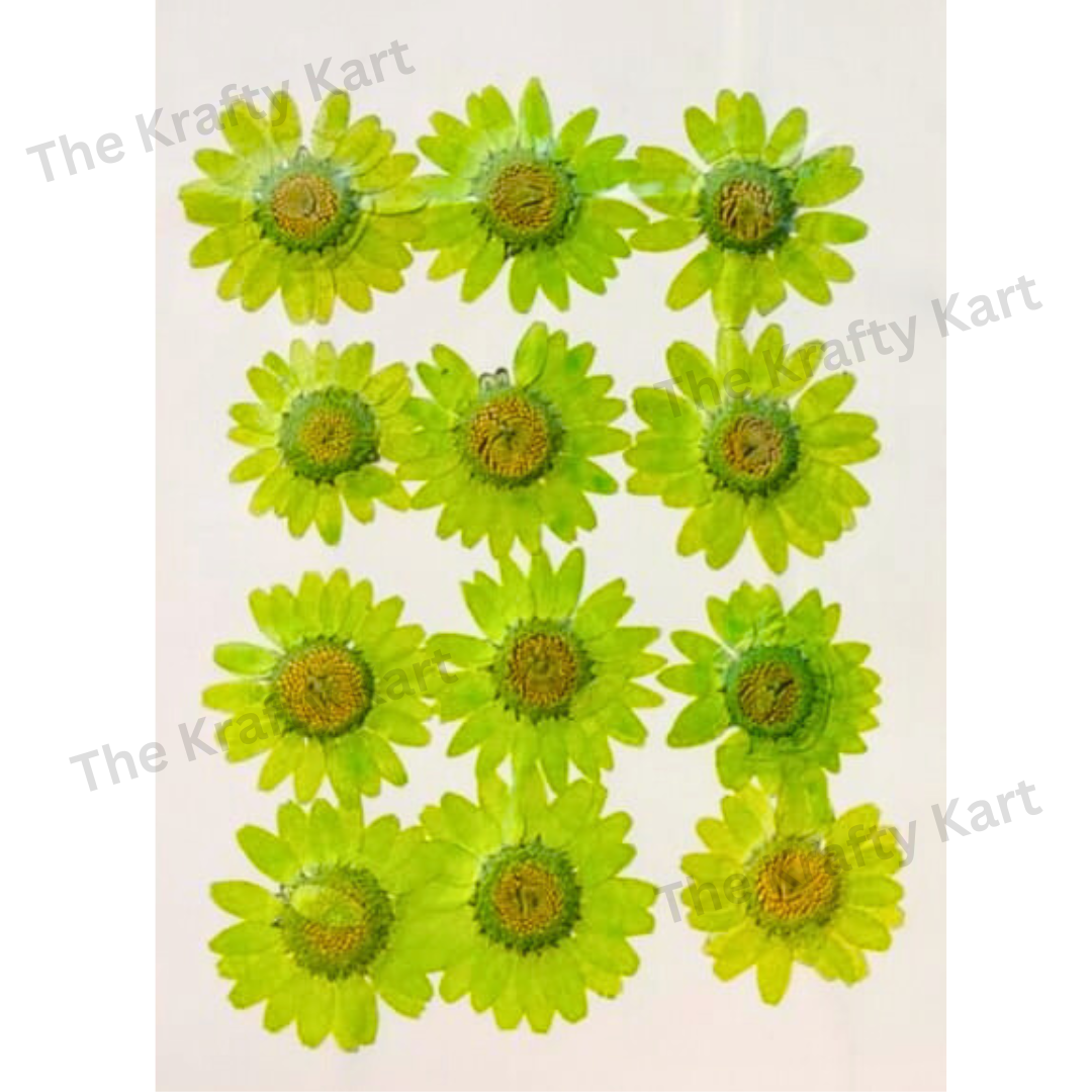 Daisy Flower - Fruit Green