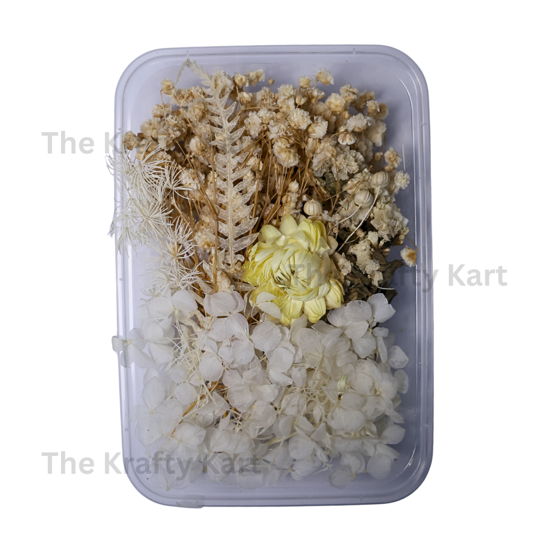 Off White Dry Flower Box