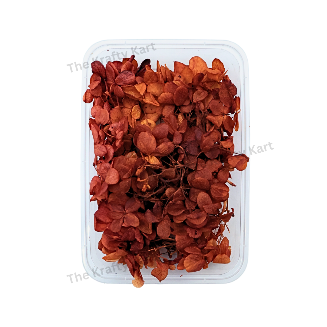 Hydregans Flower Box (Orange)