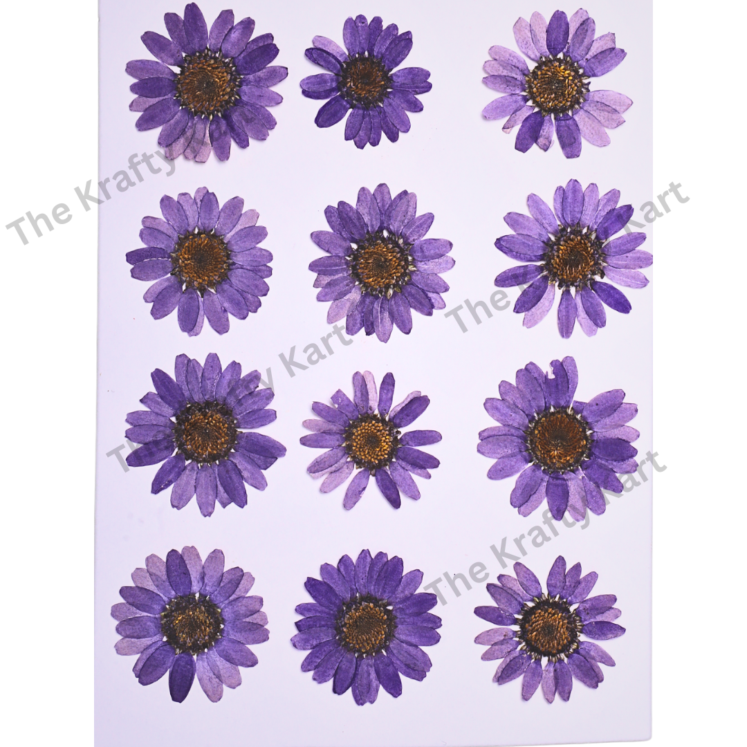 Daisy Flower - Purple