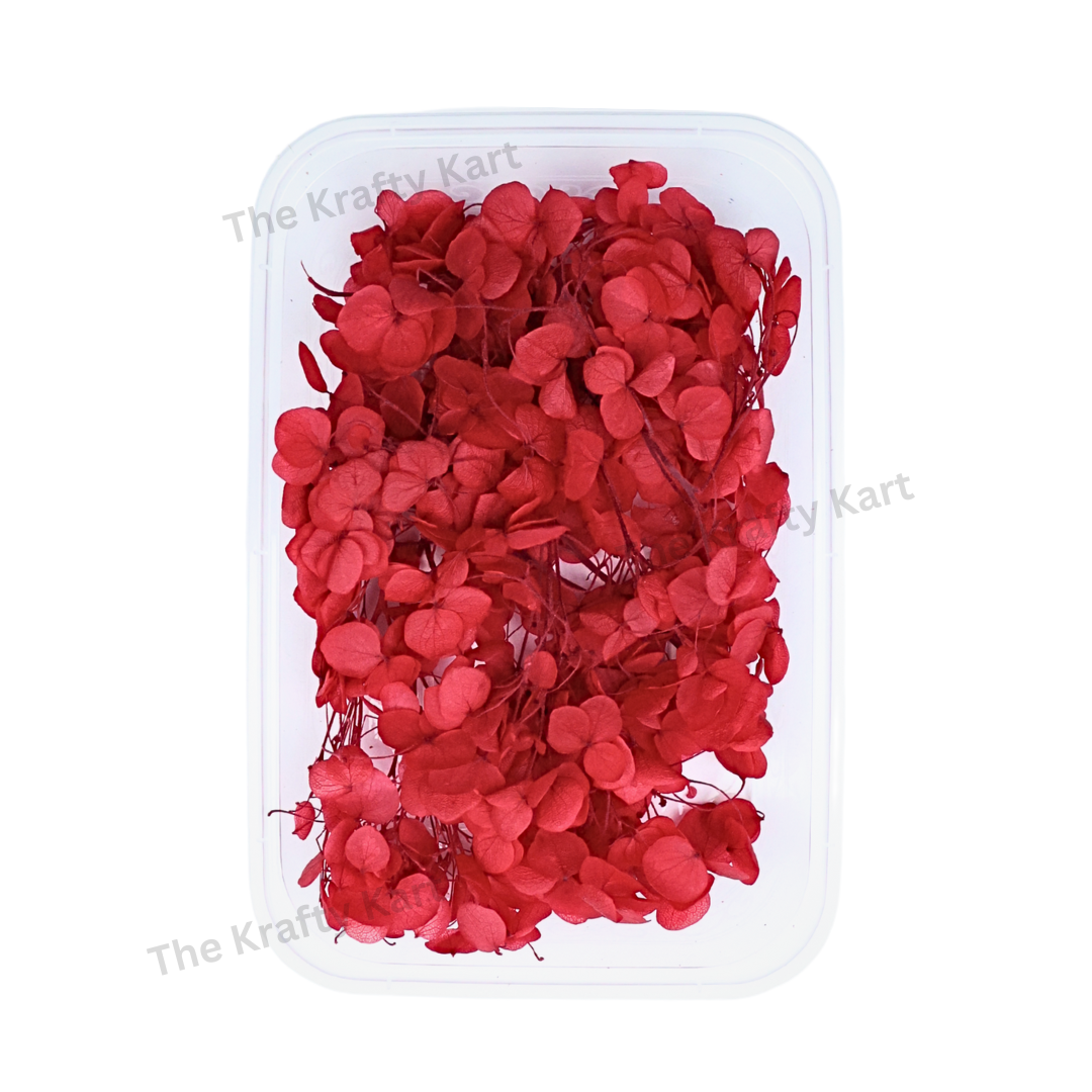 Hydregans Flower Box (Red)