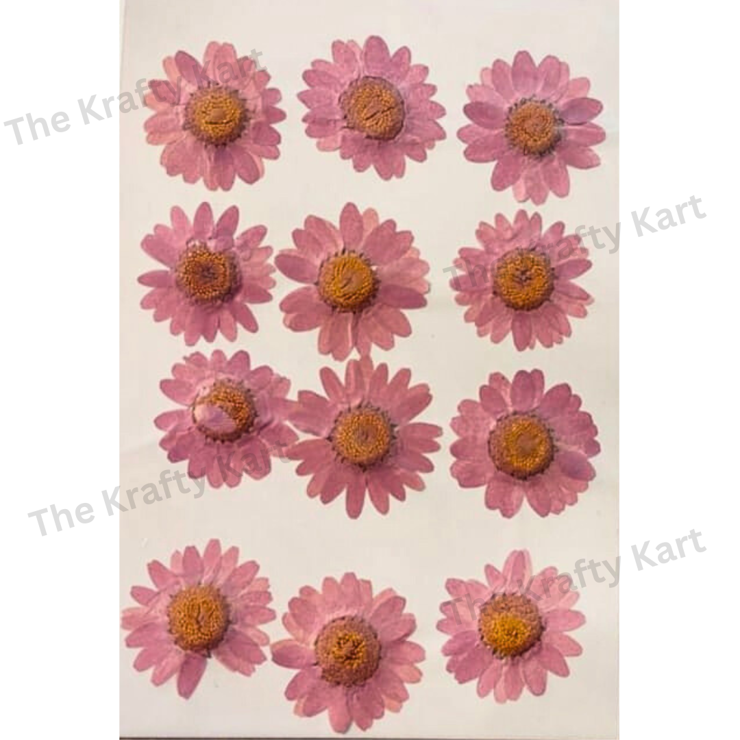 Daisy Flower - Light Pink