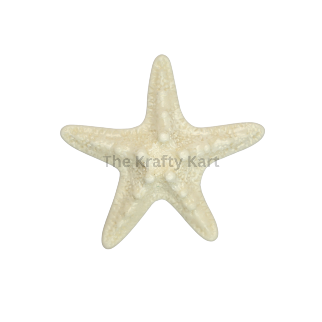 Starfish Miniature