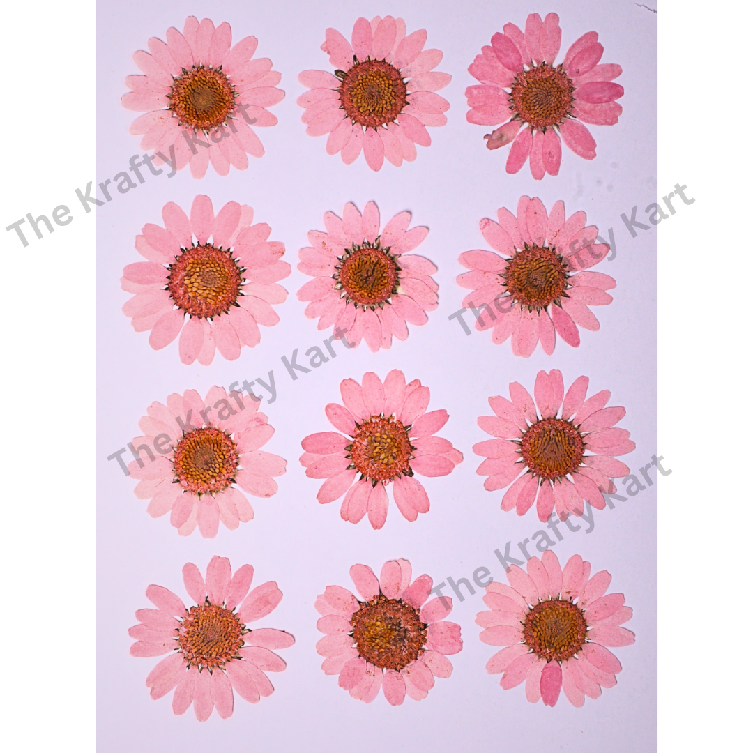 Daisy Flower - Baby Pink