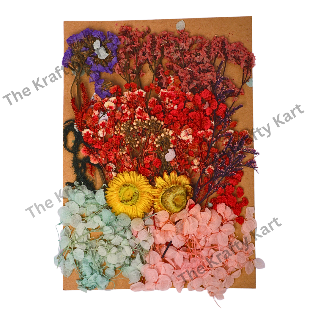 Dry Flower Packet (A)