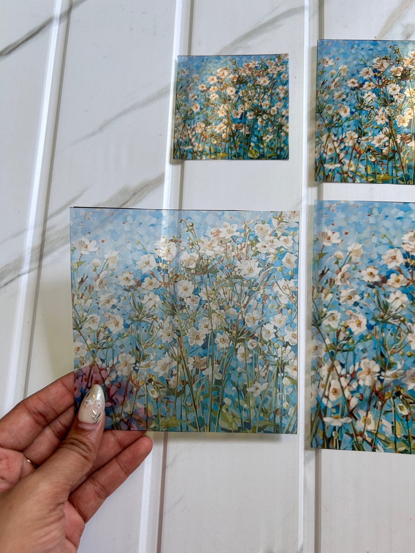 Custom Insert Sheet (B)