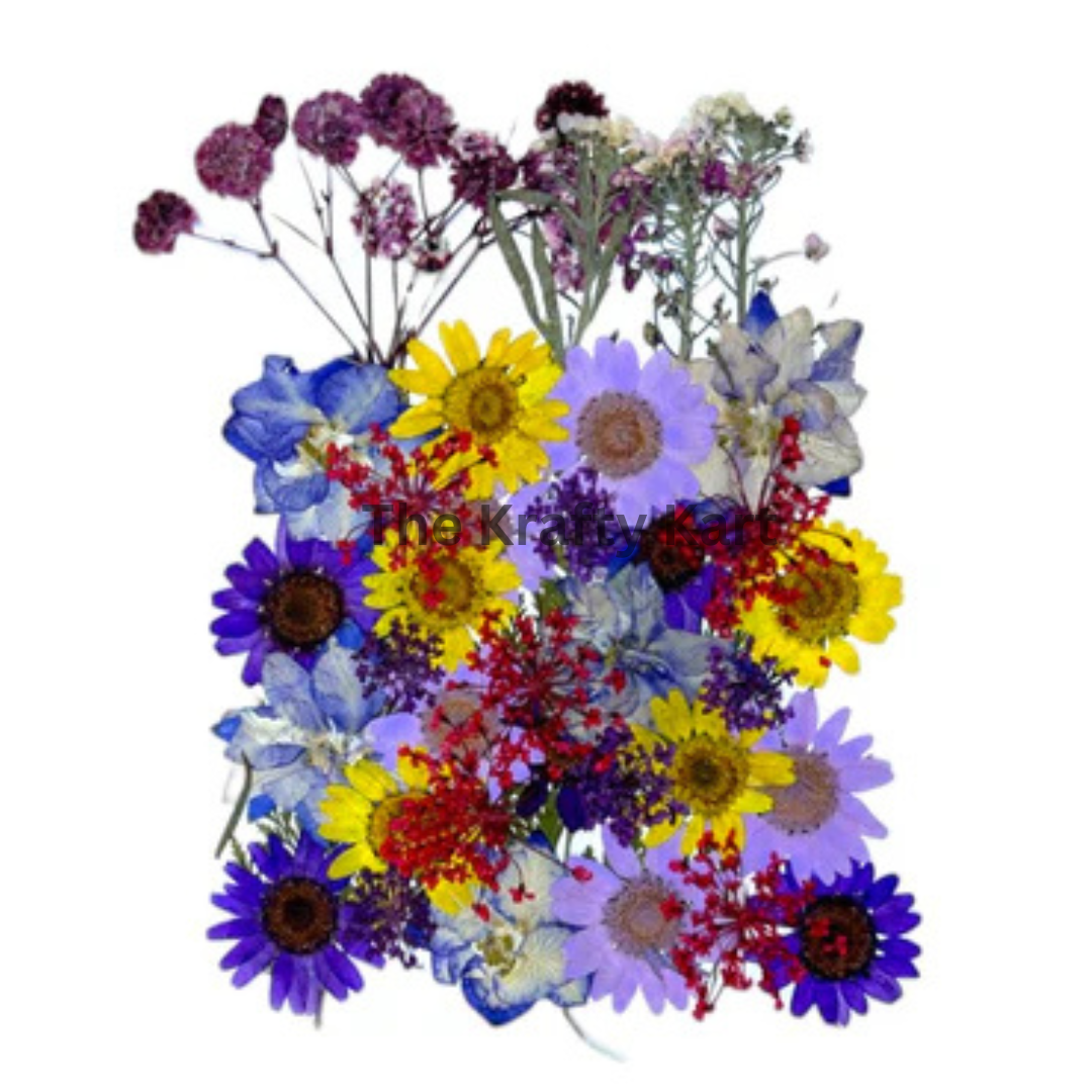 Pressed Flowers