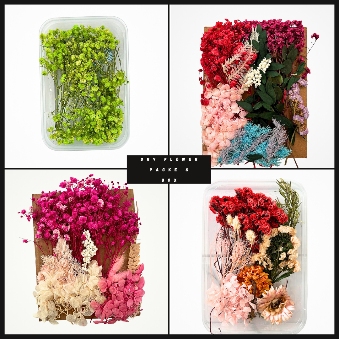 Dry Flower Packet & Box