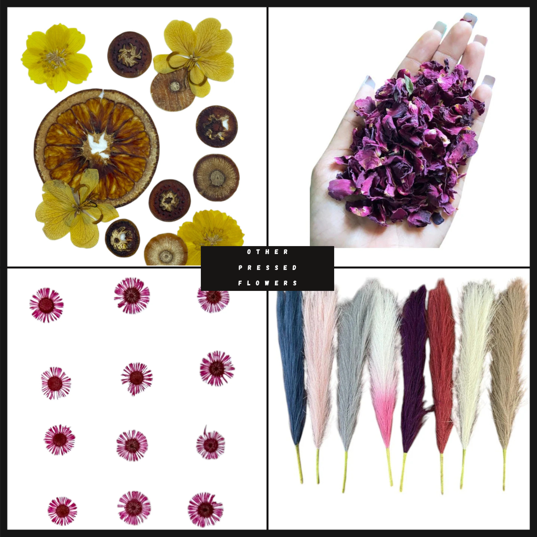 Other Pressed Flowers
