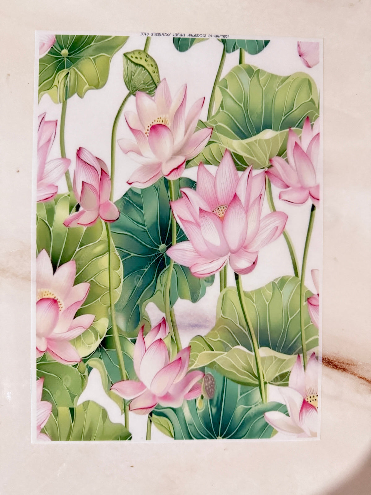 A4 Insert Sheet - Lotus (K)