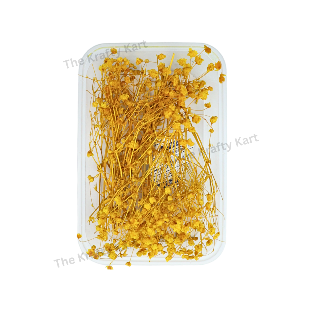 Gypsy Dry Flower Box (Yellow)