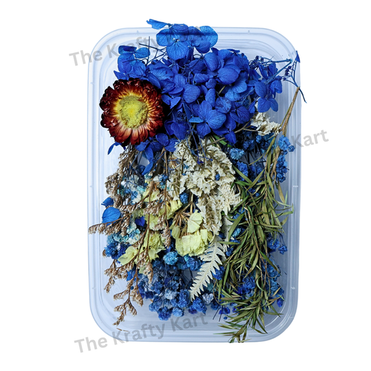 Blue Dry Flower Box