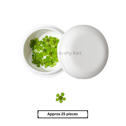 Plums - Green