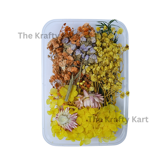 Dry Flower Box (P)