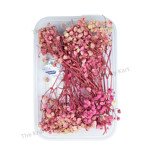 Gypsy Dry Flower Box (Pink)