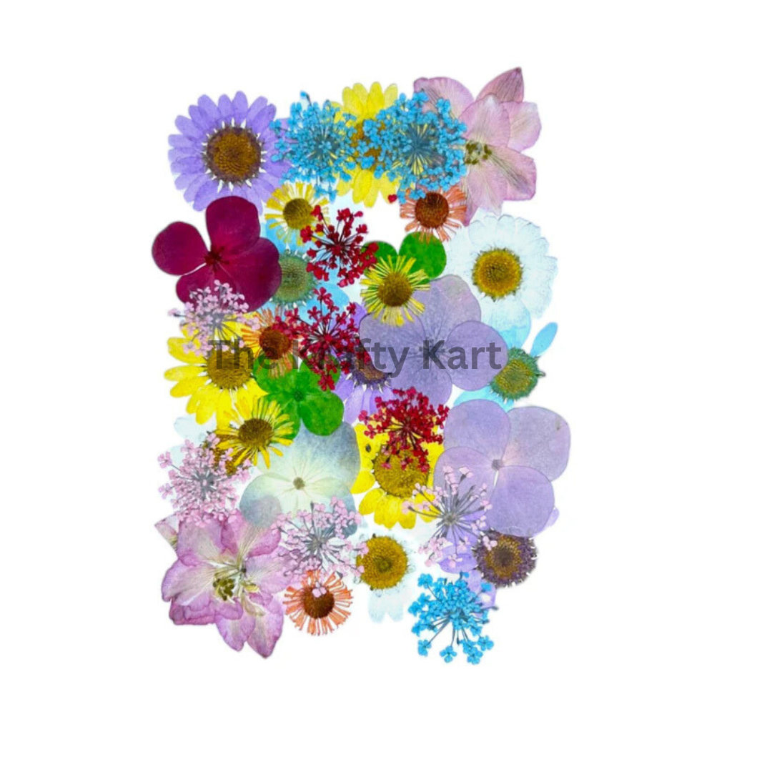Pressed Flower (R)