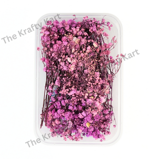 Gypsy Dry Flower Box (Purple)