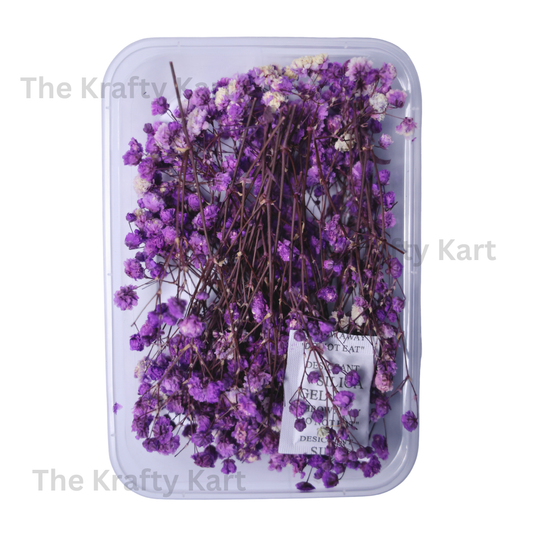 Gypsy Dry Flower Box (Purple)