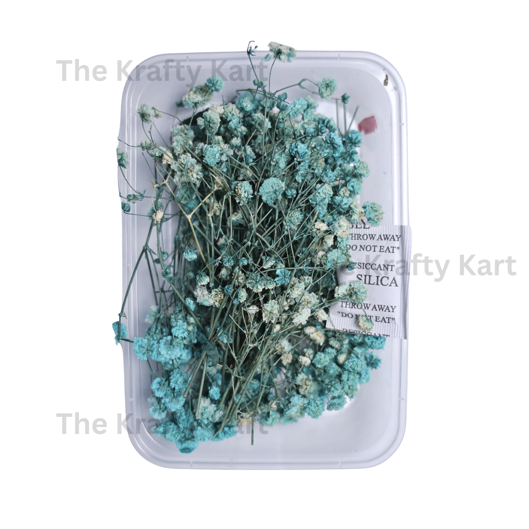 Gypsy Dry Flower Box (Blue)