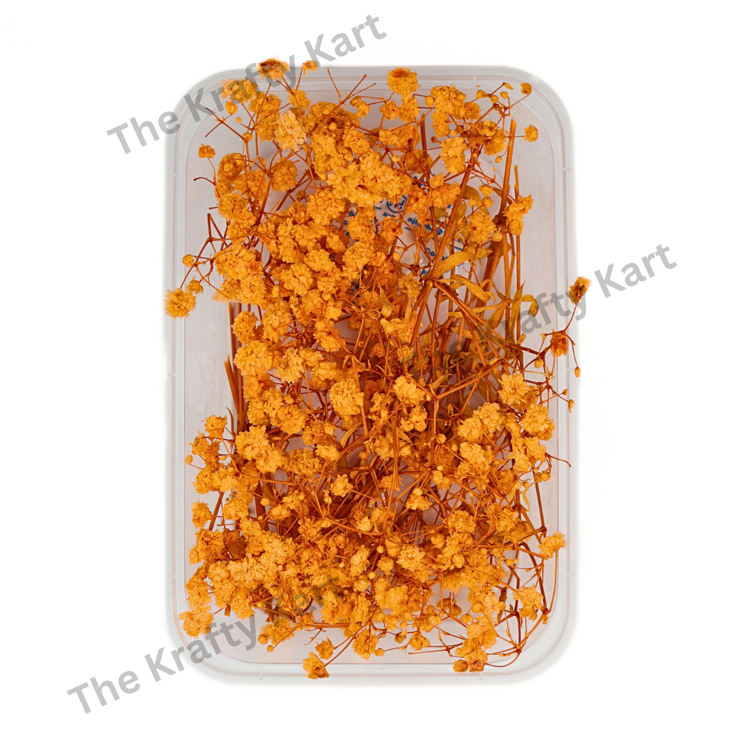 Gypsy Dry Flower Box (Orange)