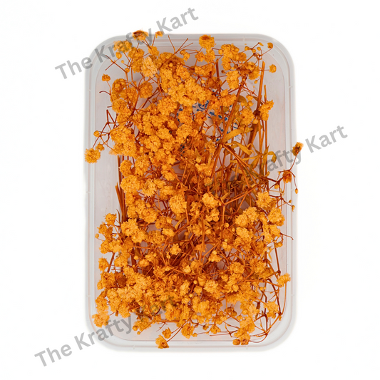 Gypsy Dry Flower Box (Orange)