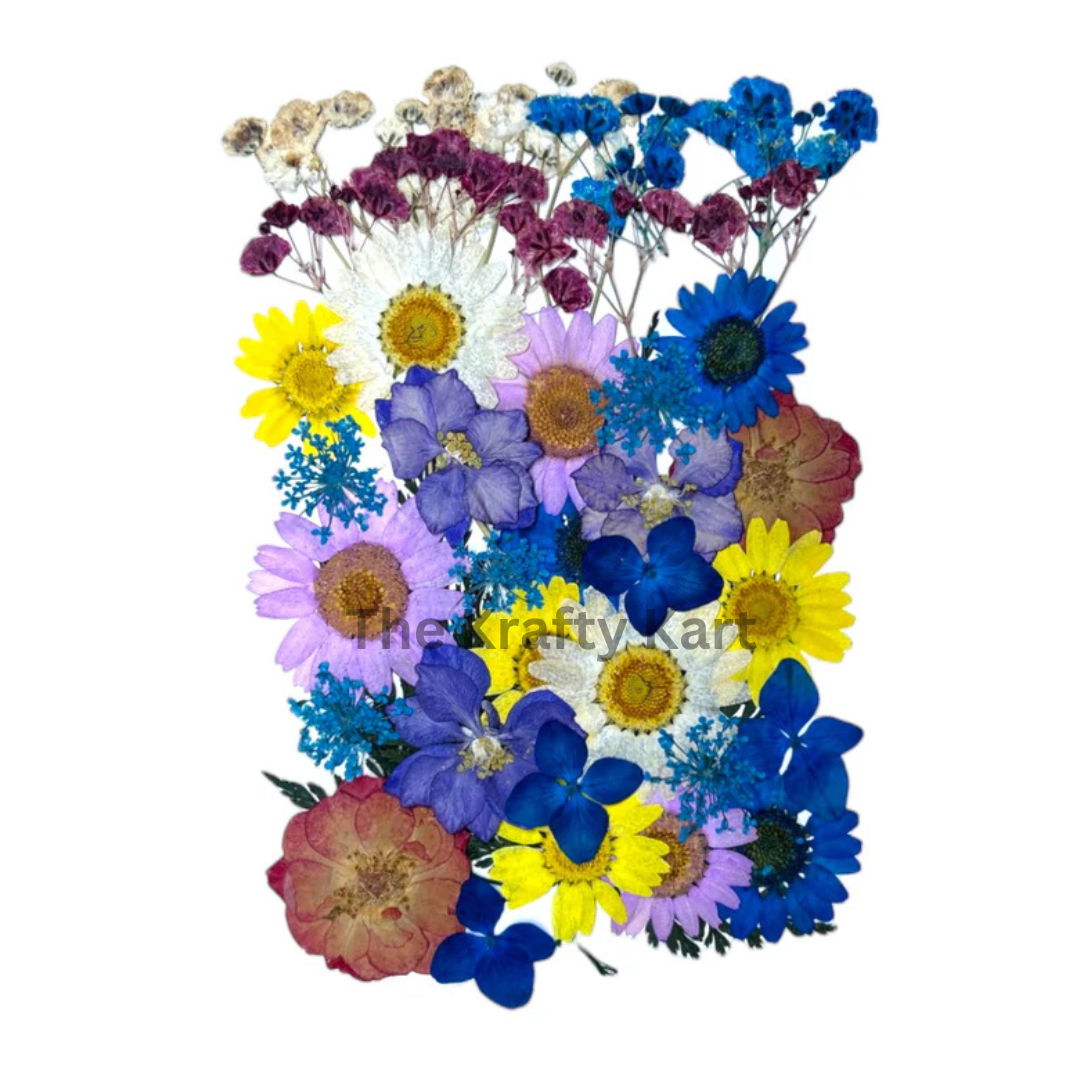 Pressed Flower (C)