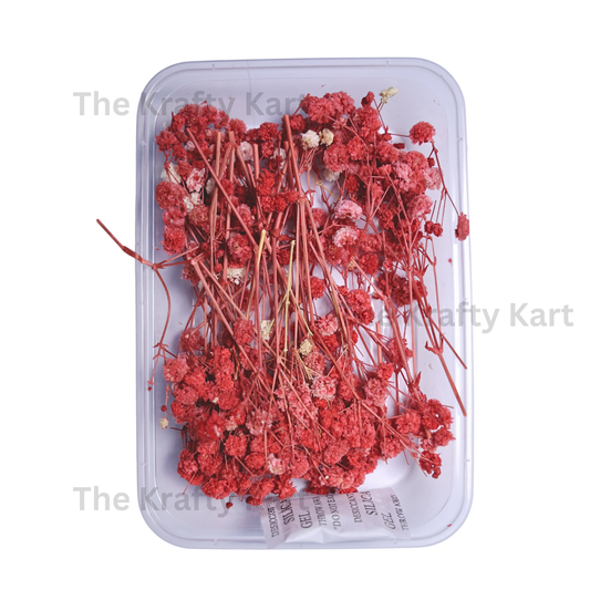Gypsy Dry Flower Box (Red)