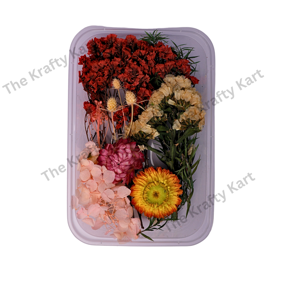 Dry Flower Box (H)