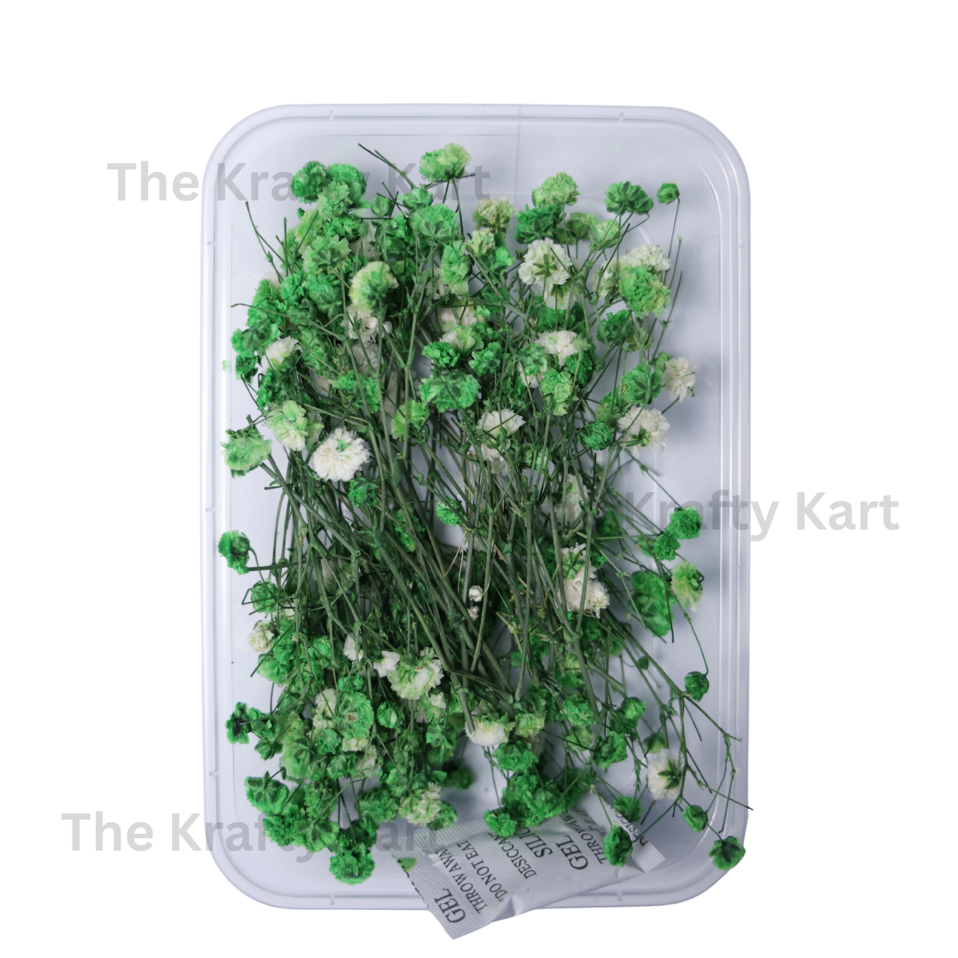 Gypsy Dry Flower Box (Dark Green)