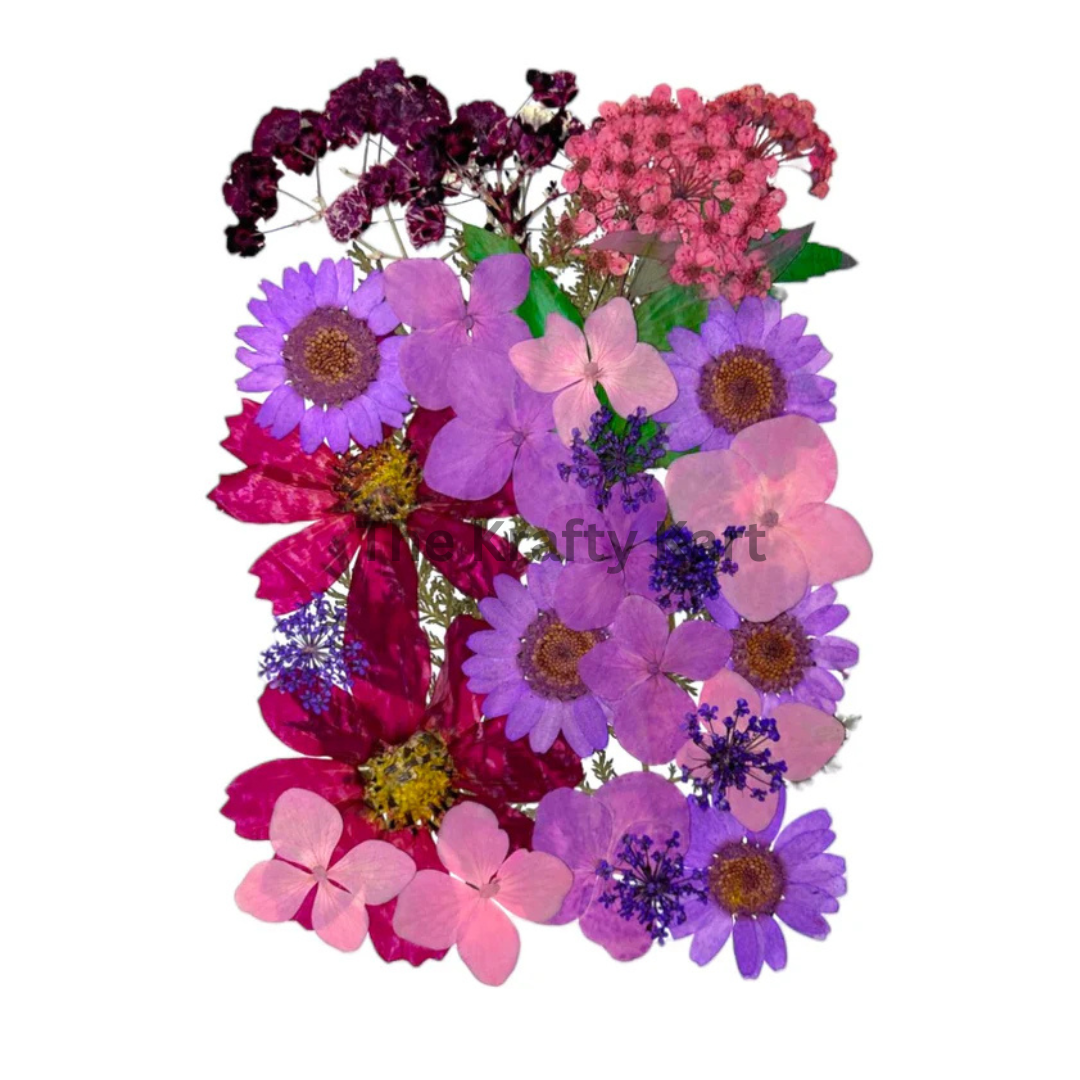 Pressed Flower (D)