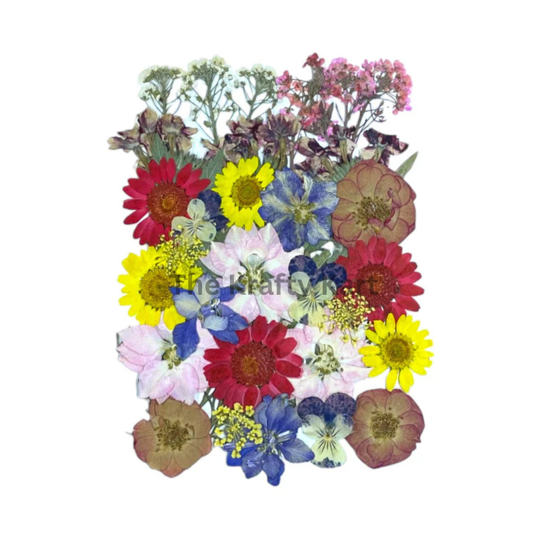 Pressed Flower (E)