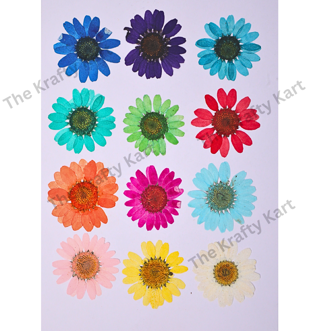 Daisy Flower - Mix