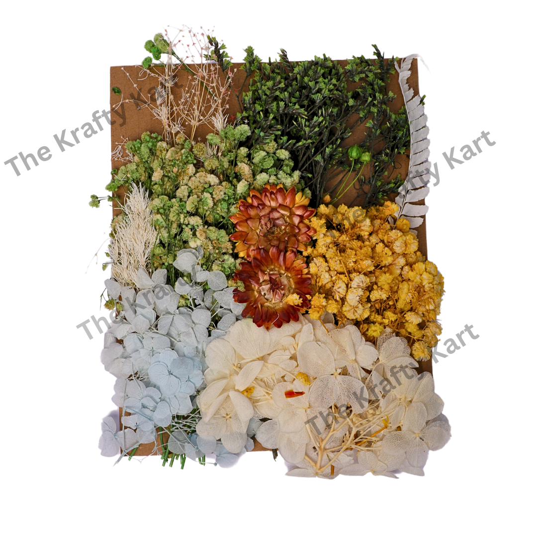 Dry Flower Packet (G)