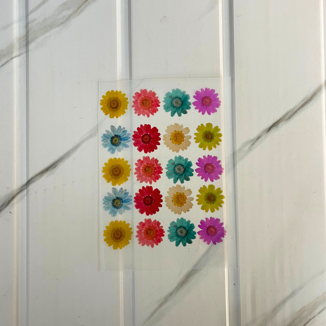 Insert Sheet - Daisy Flower