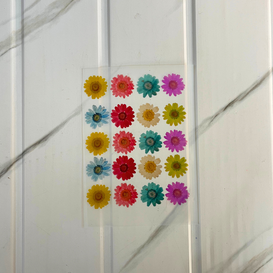 Insert Sheet - Daisy Flower