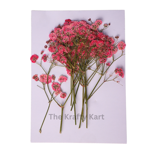 Baby Breath - Pink
