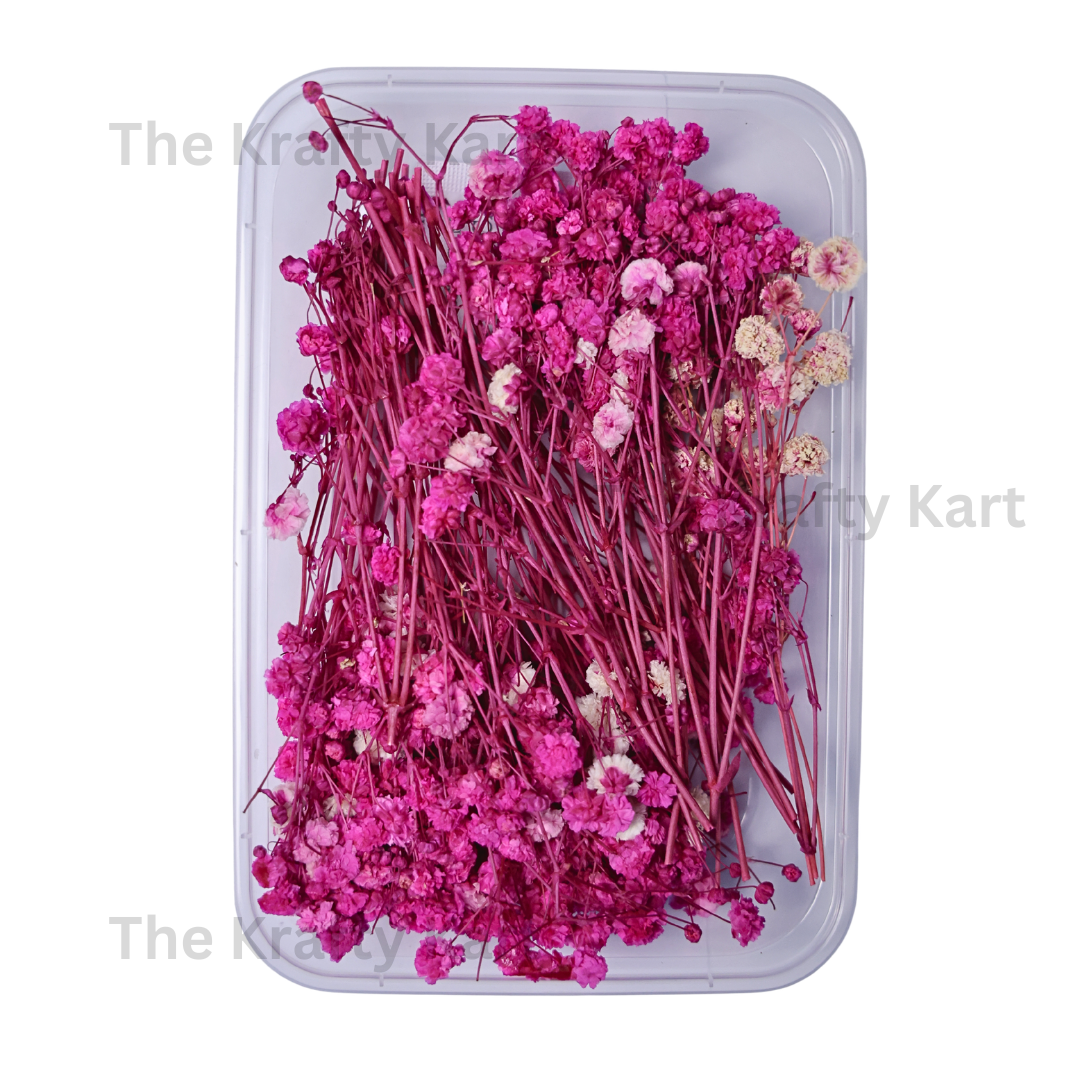 Gypsy Dry Flower Box (Pink)
